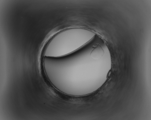 X0000088140296200705141037