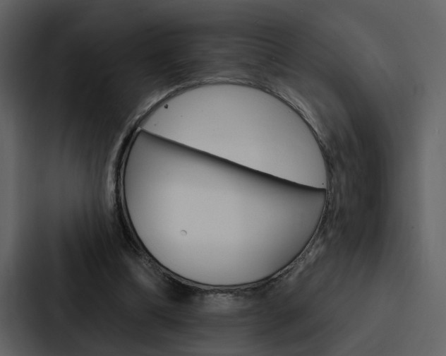 X0000088140298200705141037