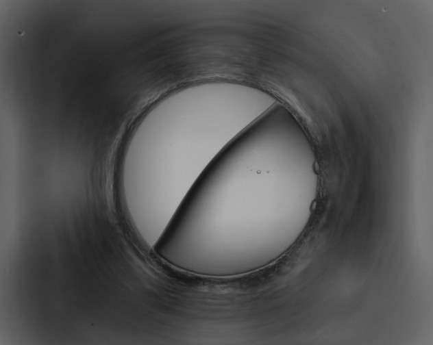 X0000088140299200705141037