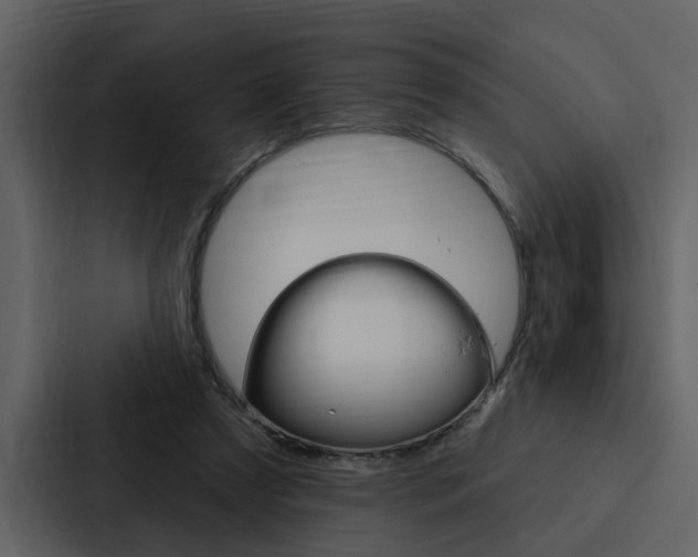 X0000088140305200705141037