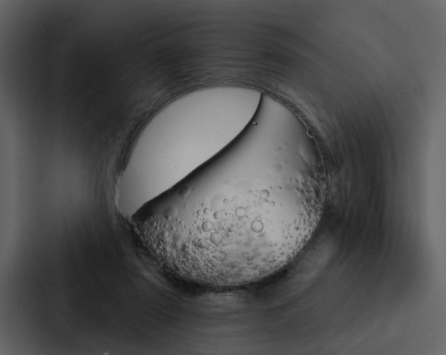 X0000088140307200705141037