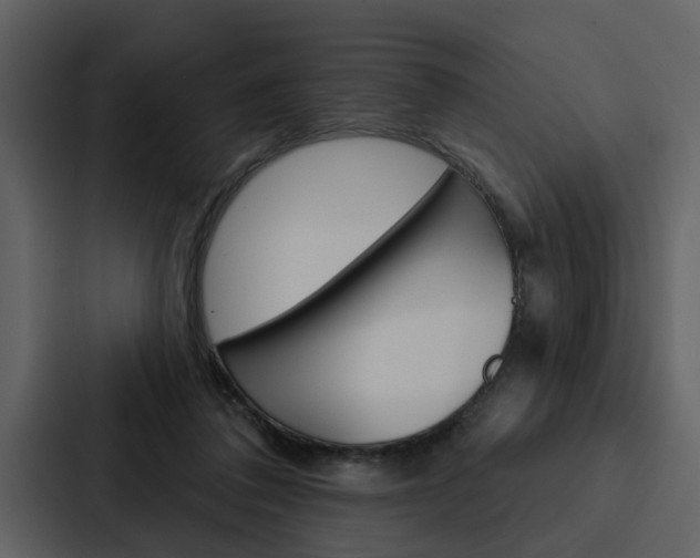 X0000088140308200705141037