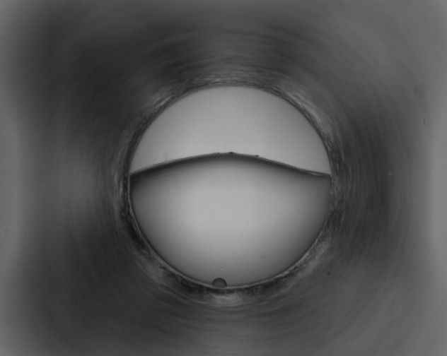 X0000088140309200705141037