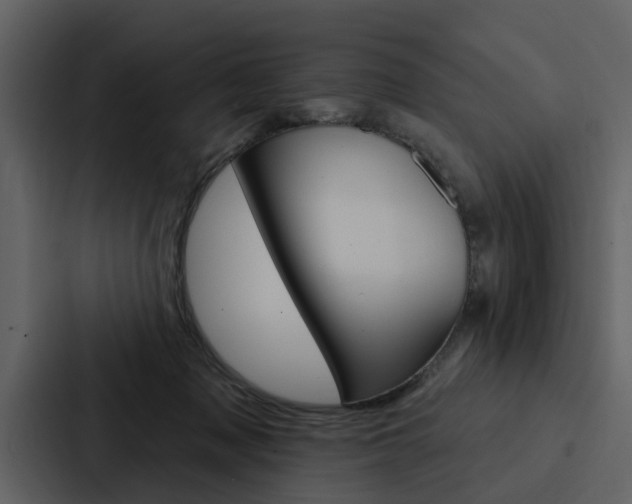 X0000088140317200705141037