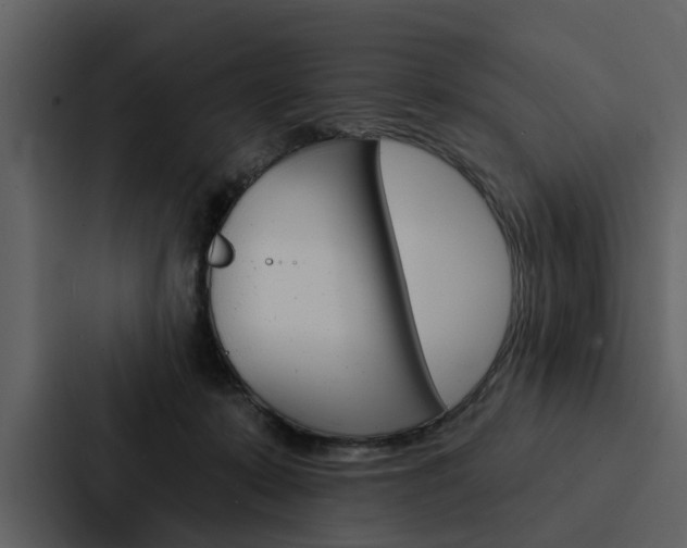 X0000088140319200705141037