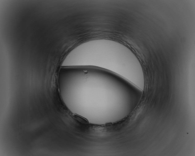 X0000088140325200705141037