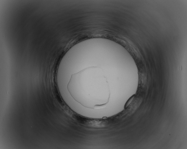X0000088140326200705141037