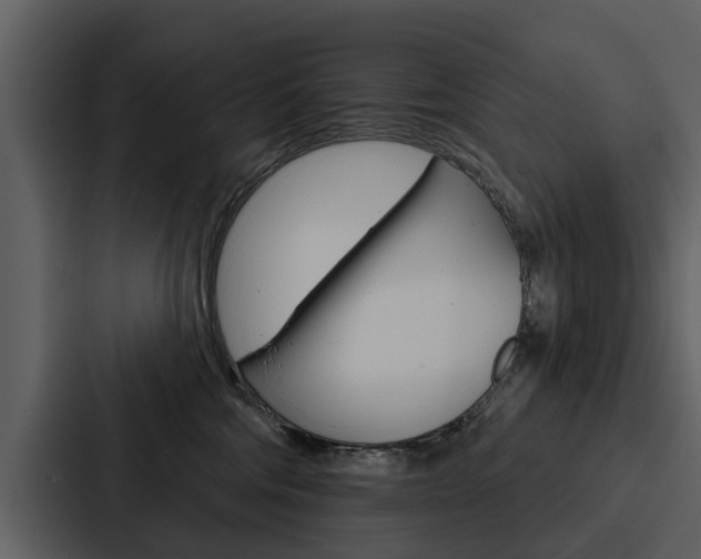 X0000088140330200705141036