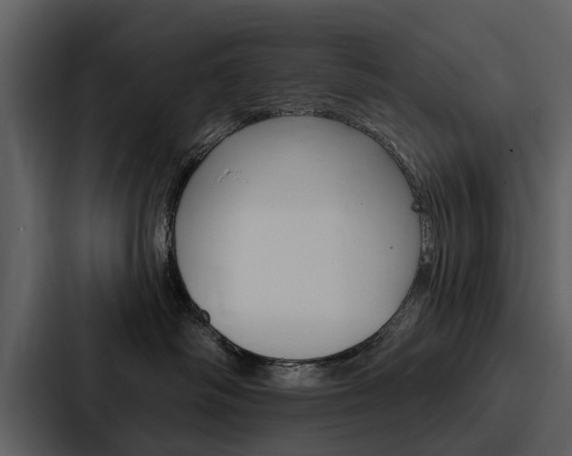 X0000088140334200705141036