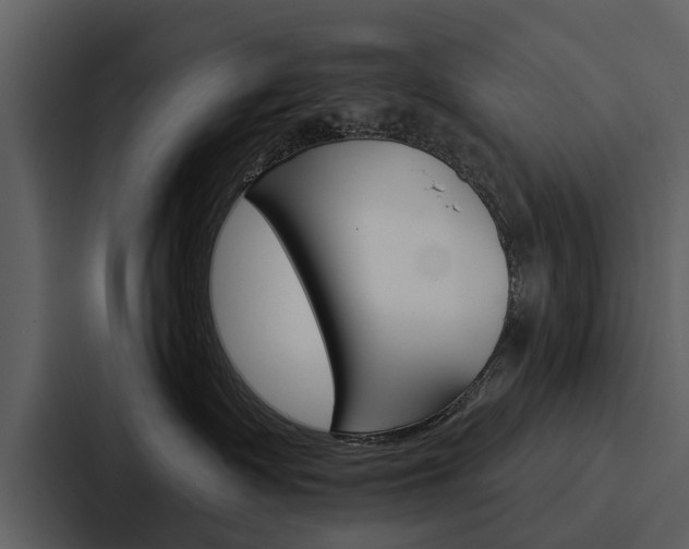 X0000088140335200705141036