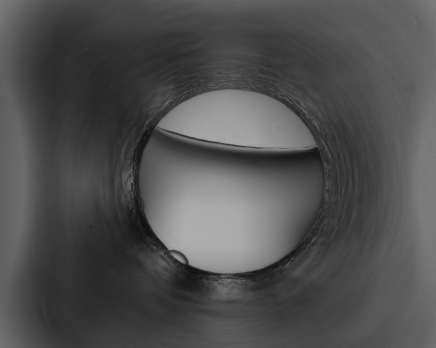 X0000088140336200705141036