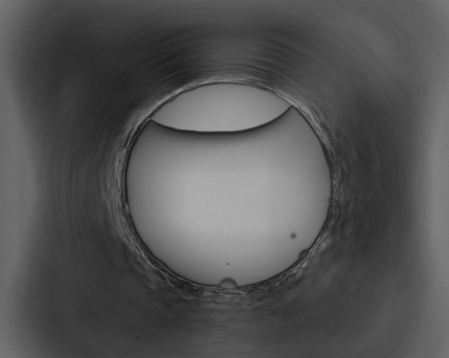 X0000088140337200705141036