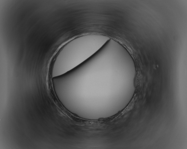 X0000088140338200705141036