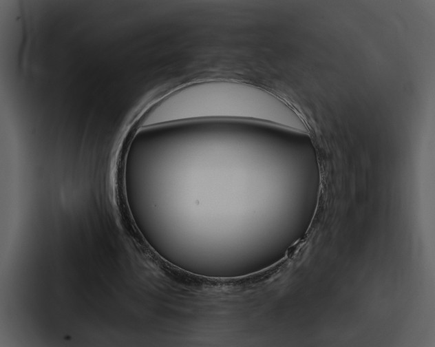 X0000088140340200705141036