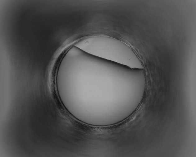 X0000088140343200705141036