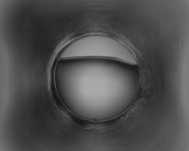 X0000088140344200705141036