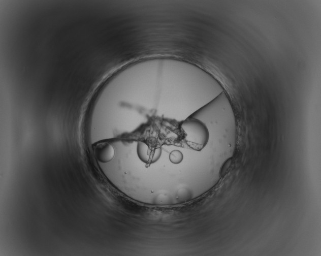 X0000088140346200705141036