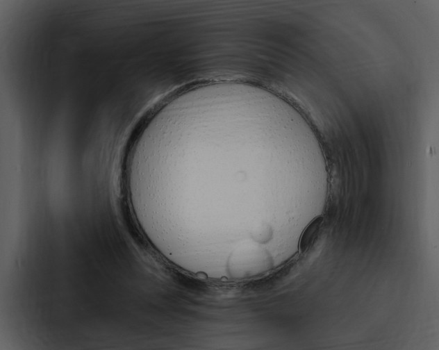 X0000088140351200705141036
