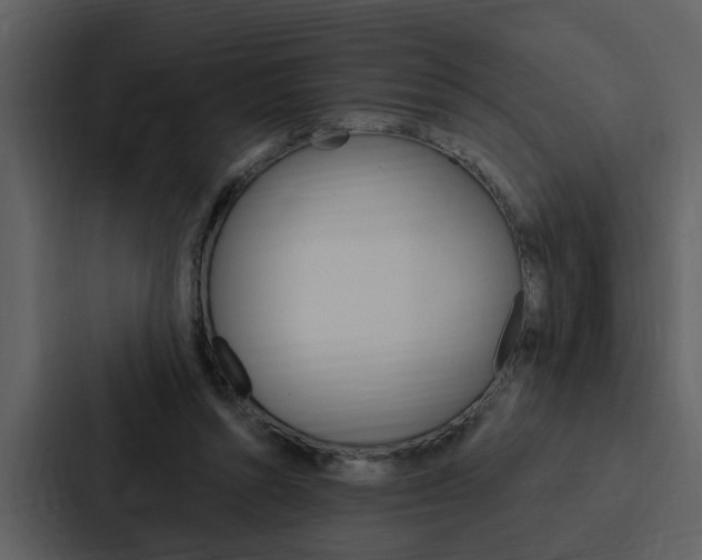 X0000088140352200705141036
