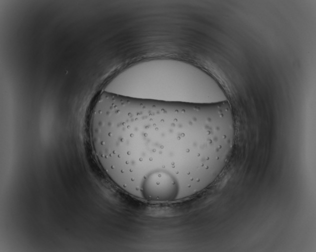 X0000088140354200705141036