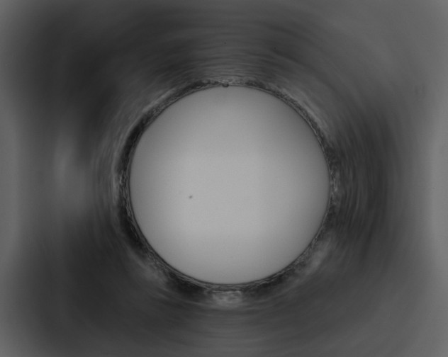 X0000088140355200705141036
