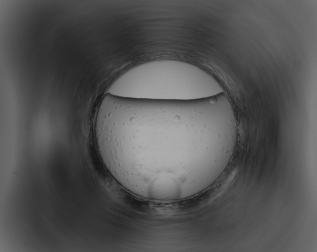X0000088140359200705141036