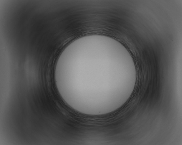 X0000088140360200705141036