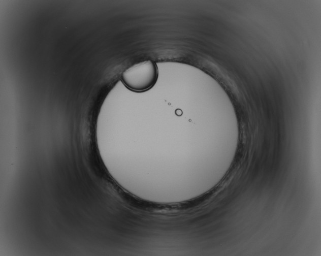 X0000088140362200705141036