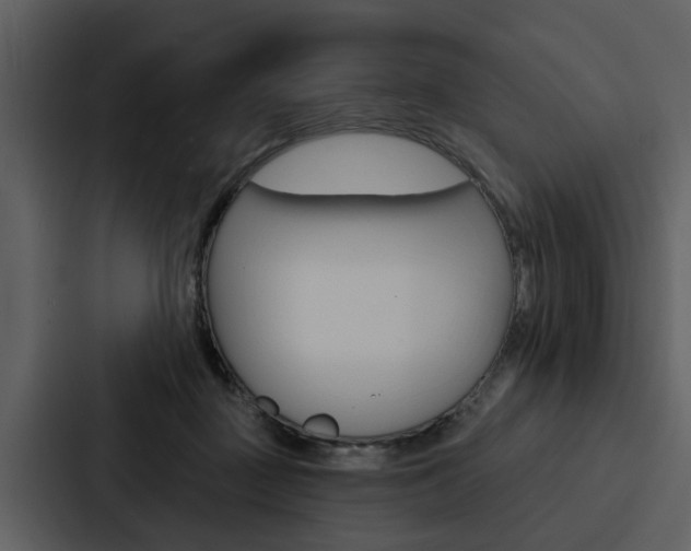 X0000088140363200705141036