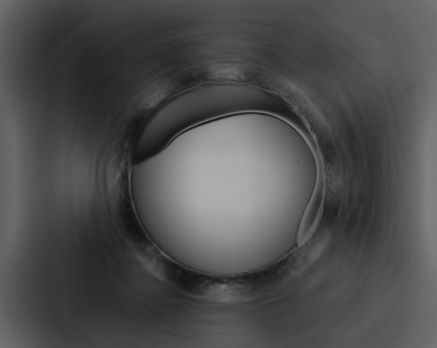 X0000088140364200705141036