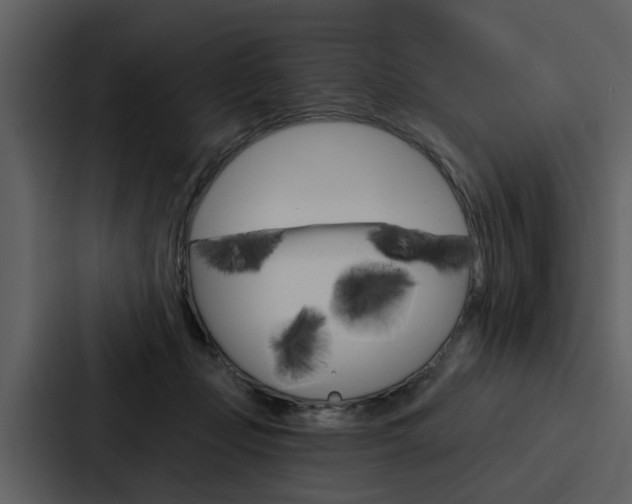 X0000088140365200705141036