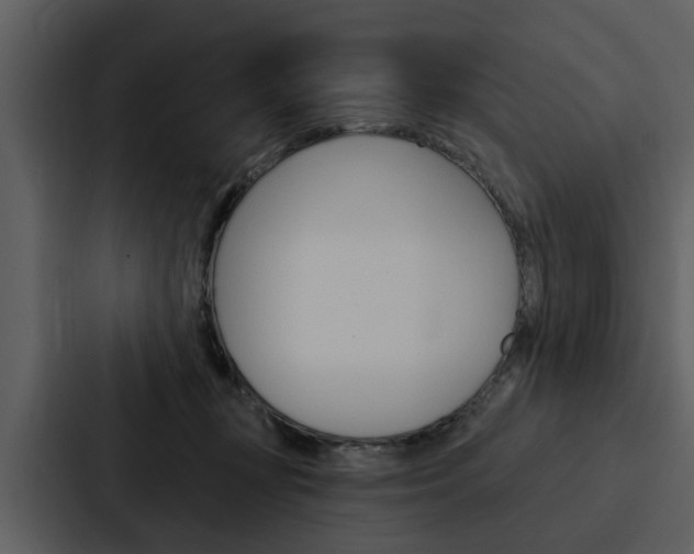X0000088140367200705141036