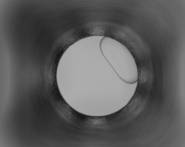 X0000088140370200705141036