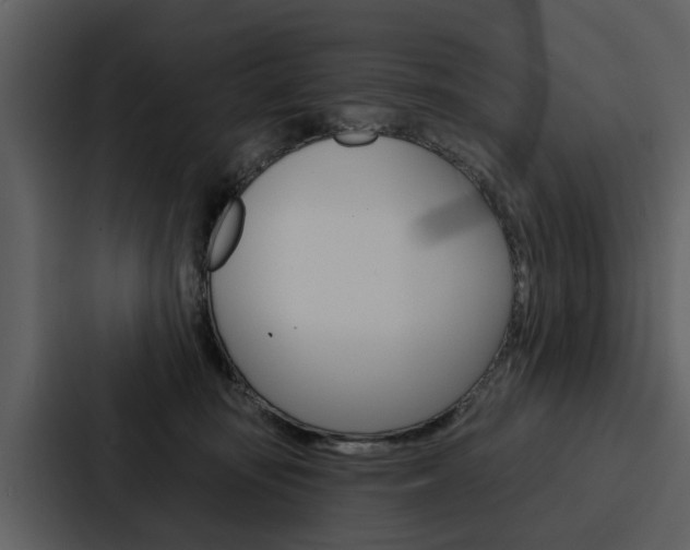 X0000088140371200705141036
