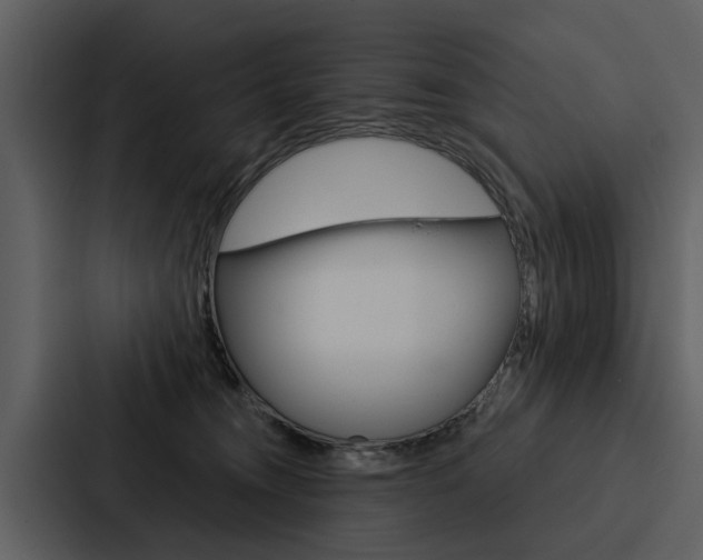 X0000088140372200705141036