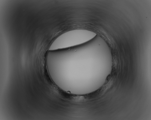 X0000088140374200705141036