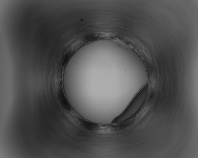 X0000088140376200705141036