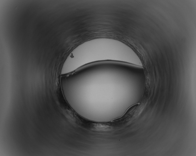 X0000088140380200705141036