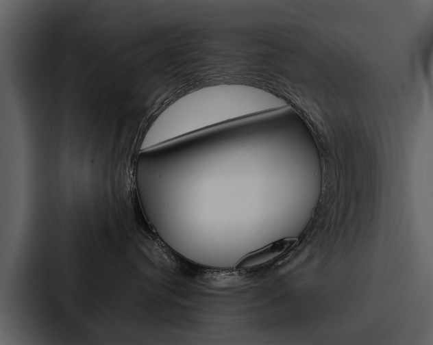 X0000088140384200705141036