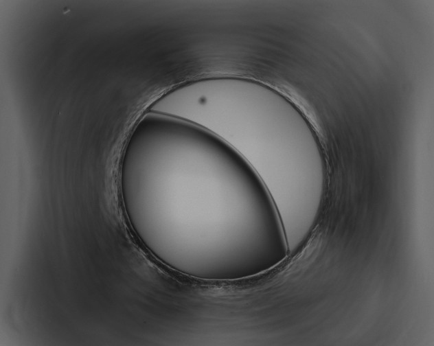 X0000088140385200705141036