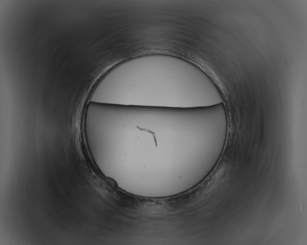 X0000088140386200705141036