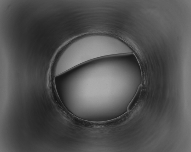 X0000088140388200705141036