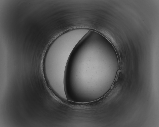 X0000088140389200705141036