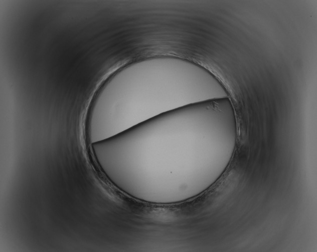 X0000088140390200705141036