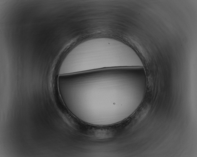 X0000088140400200705141036