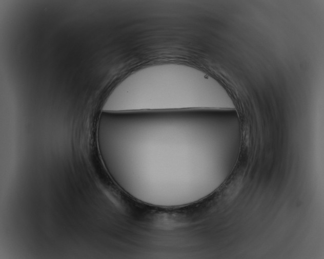 X0000088140408200705141035