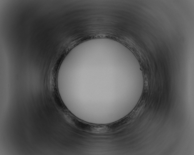 X0000088140410200705141035
