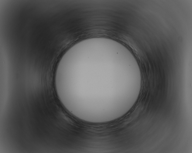 X0000088140411200705141035