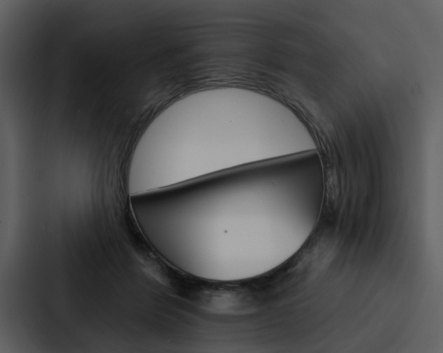 X0000088140412200705141035