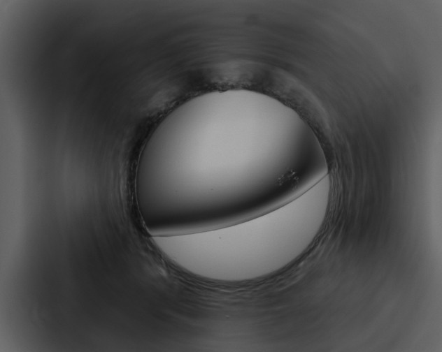 X0000088140416200705141035